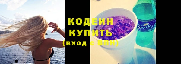 шишки Покров