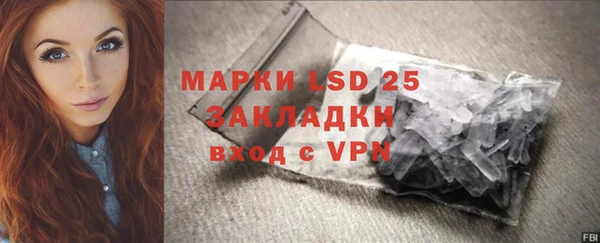 стаф Покачи